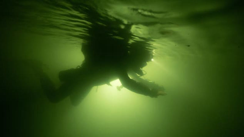 image-gallery
