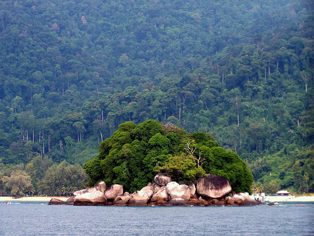 image-gallery