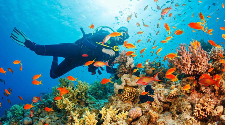 پارک دریایی پولائو پایار لنکاوی